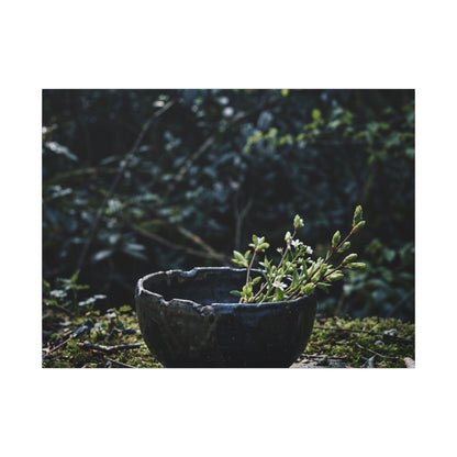 Dappled Ceramic Bowl Canvas Art - Dark Japandi Datsuzoku