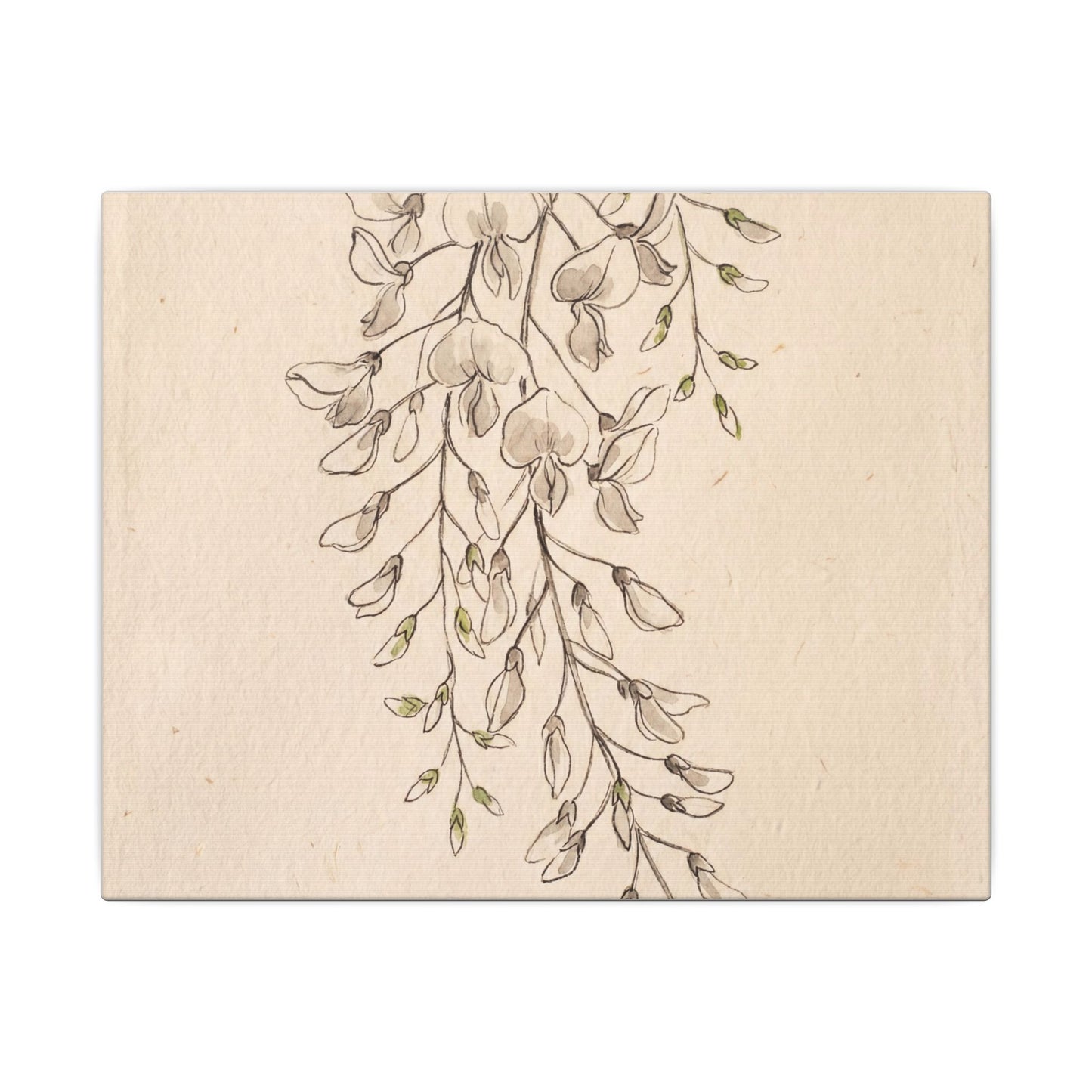 Japandi Wisteria in Golden Hour | Minimal Line Canvas Art