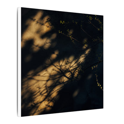 Moody Shadow Play Canvas Art - Moody Minimal Dark Japandi