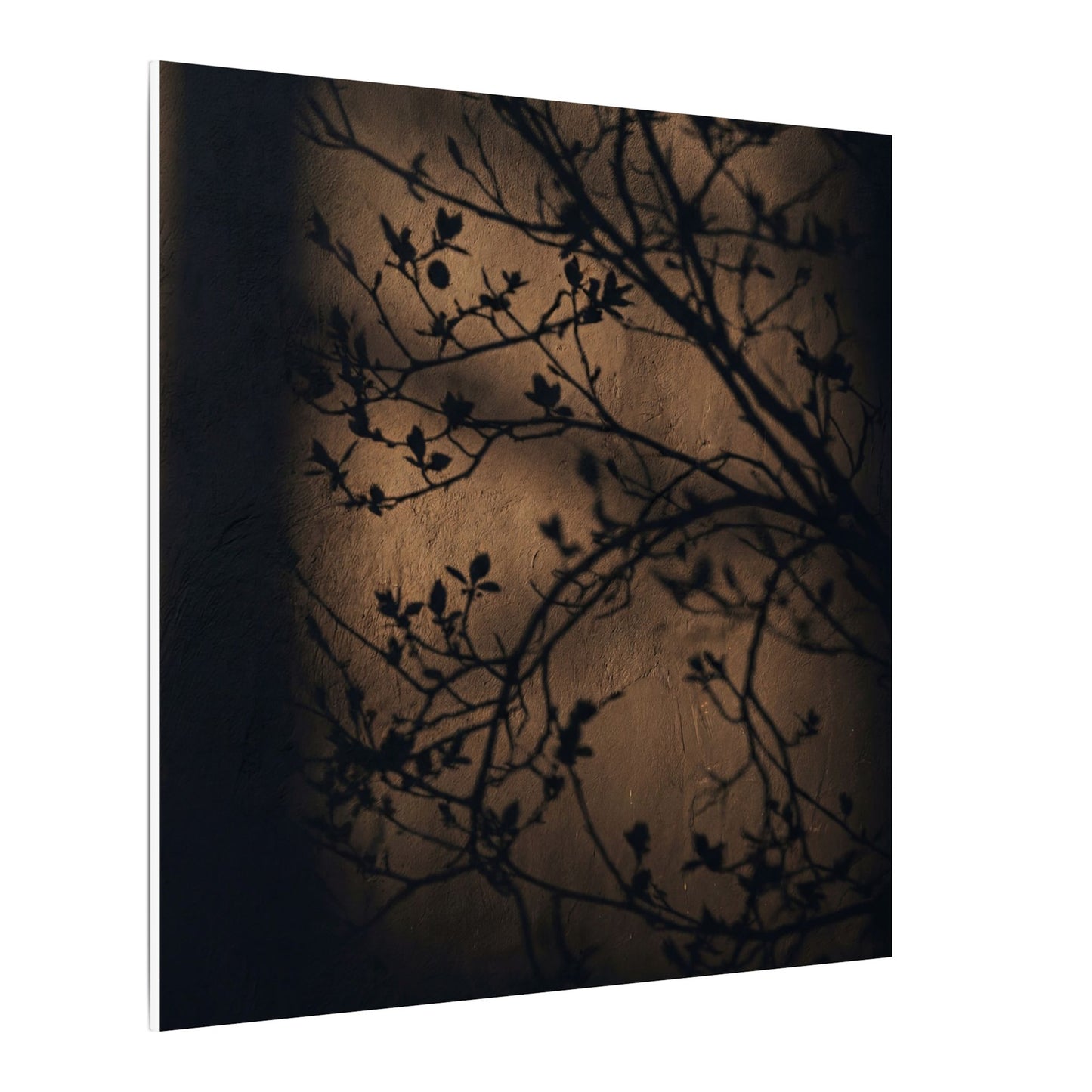 Dark Japandi Shadow Play in Golden Hour | Shadow Zen Canvas Art