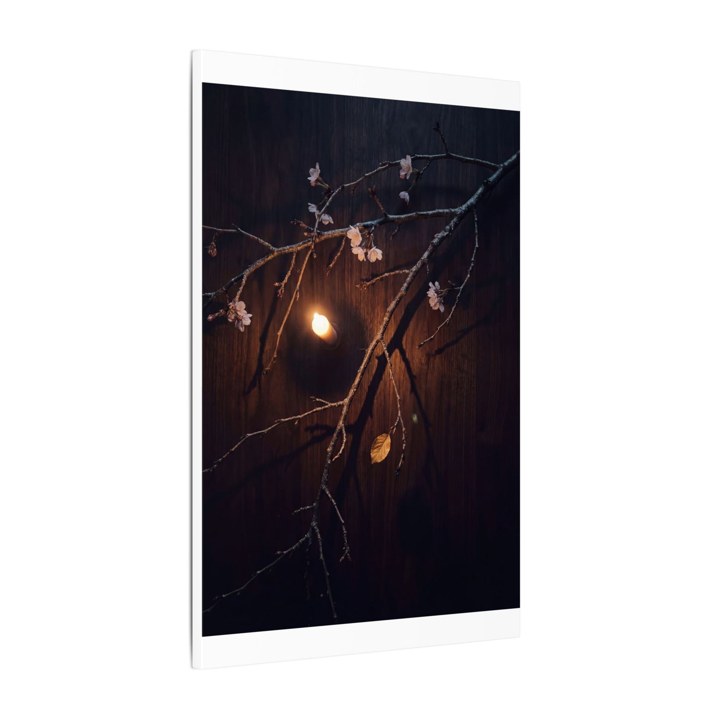 Datsuzoku Cherry Blossom Canvas Art - Dark Japandi Moody Minimal