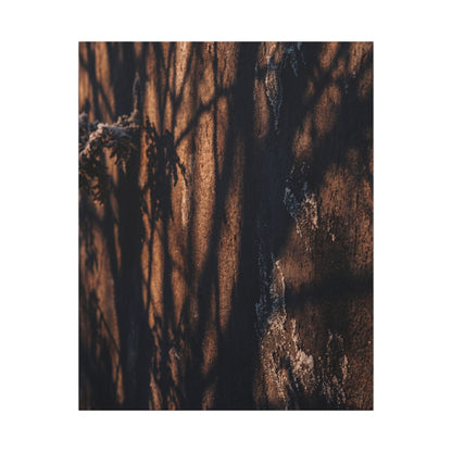 Golden Hour Shadow Play Canvas Art - Dark Japandi Fukinsei