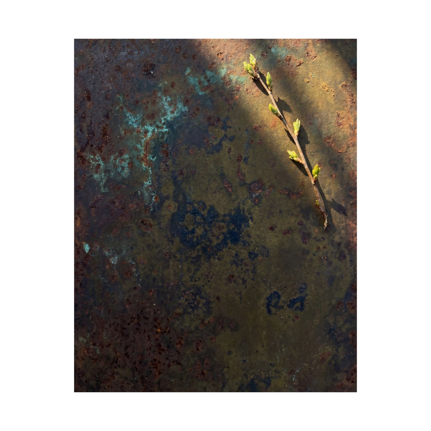 Rust Patina Spring Wall Art Print | Dark Japandi Luxurious Design