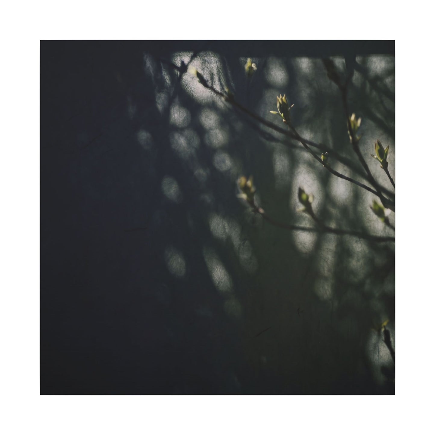 Dark Japandi Shoji Screen in Dappled | Moody Minimal Canvas Art