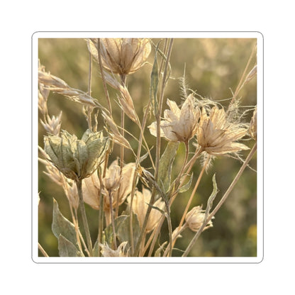 Dried Flowers Summer Sticker | Japandi Elegant Design Art Print