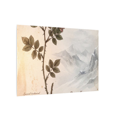 Winter Mountain Mist Herbarium Canvas Art | Earthy Decor
