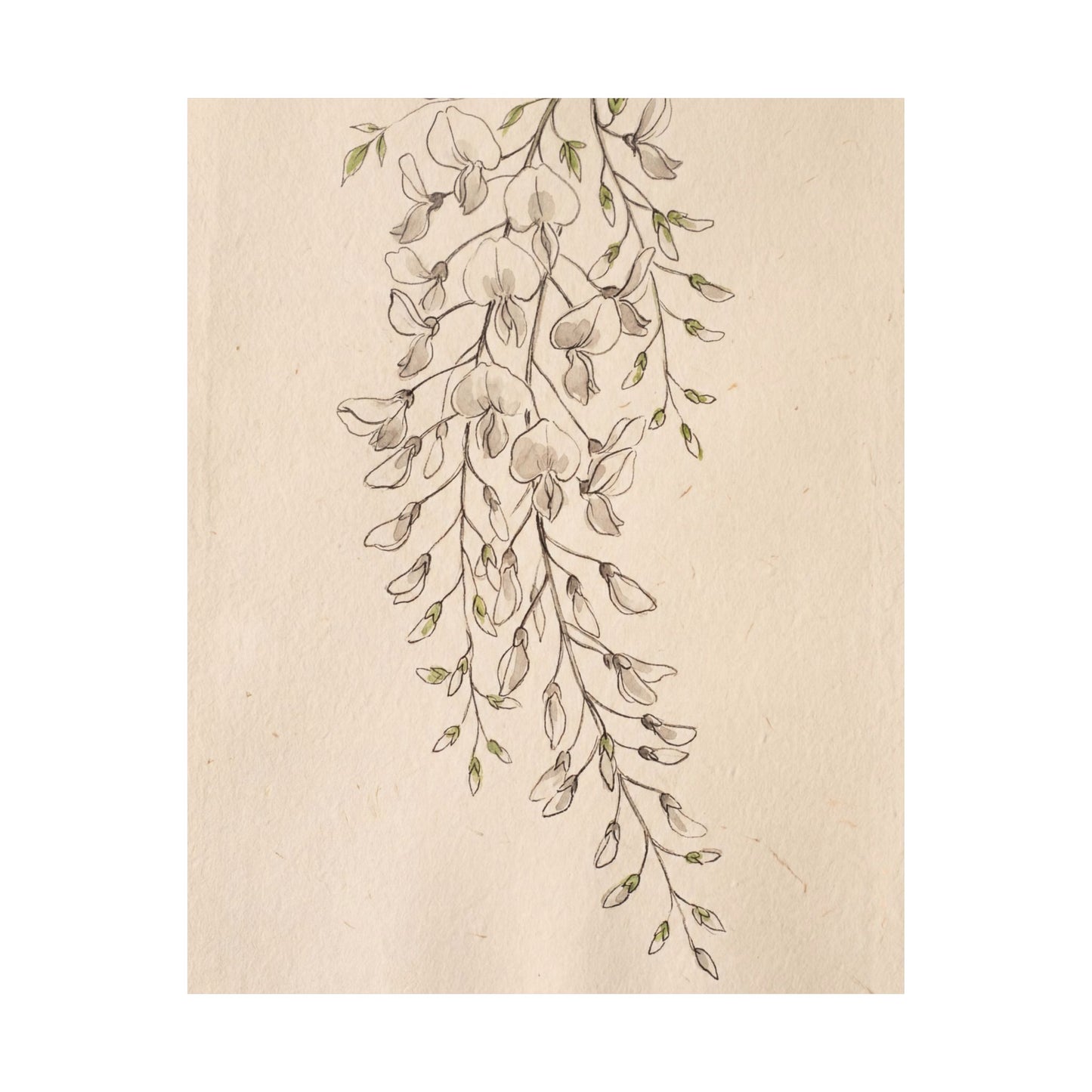 Golden Hour Wisteria Wall Art Print - Japandi Seijaku