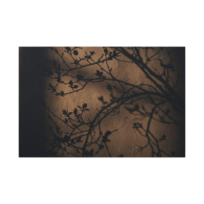 Dark Japandi Shadow Play in Golden Hour | Shadow Zen Canvas Art Art Print