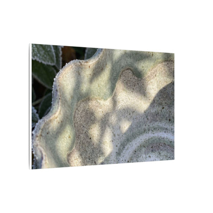 Dappled Ceramic Bowl Canvas Art - Japandi Seijaku