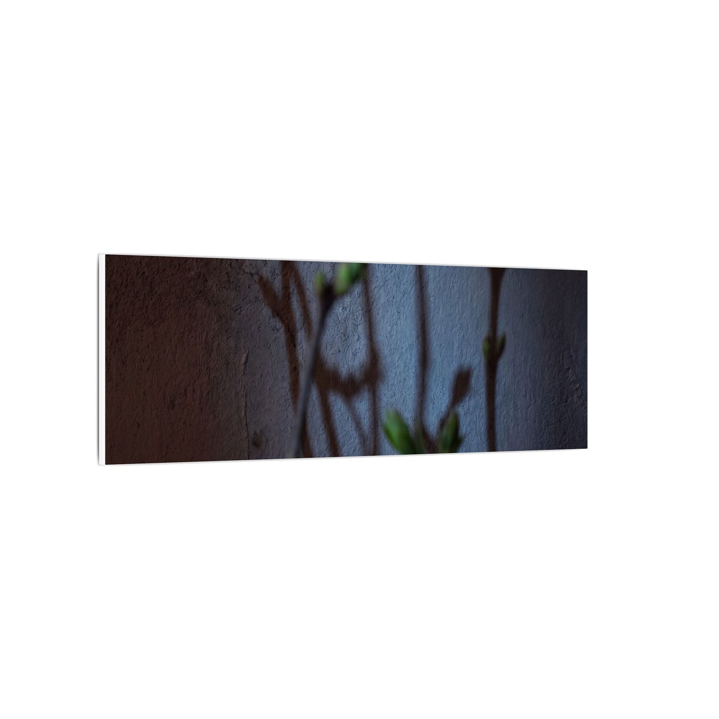 Shadow Play Spring Canvas Art | Dark Japandi Sophisticated Design