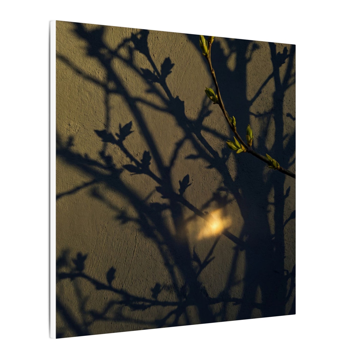 Bold Shadow Play Canvas Art - Moody Minimal Dark Japandi