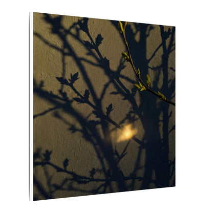 Bold Shadow Play Canvas Art - Moody Minimal Dark Japandi