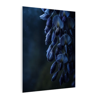 Winter Wisteria Shadow Zen Canvas Art | Atmospheric Decor