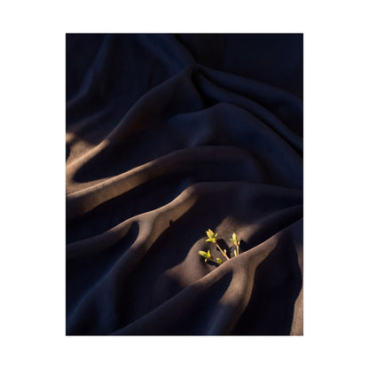 Atmospheric Silk Drape Wall Art Print - Shadow Zen Dark Japandi