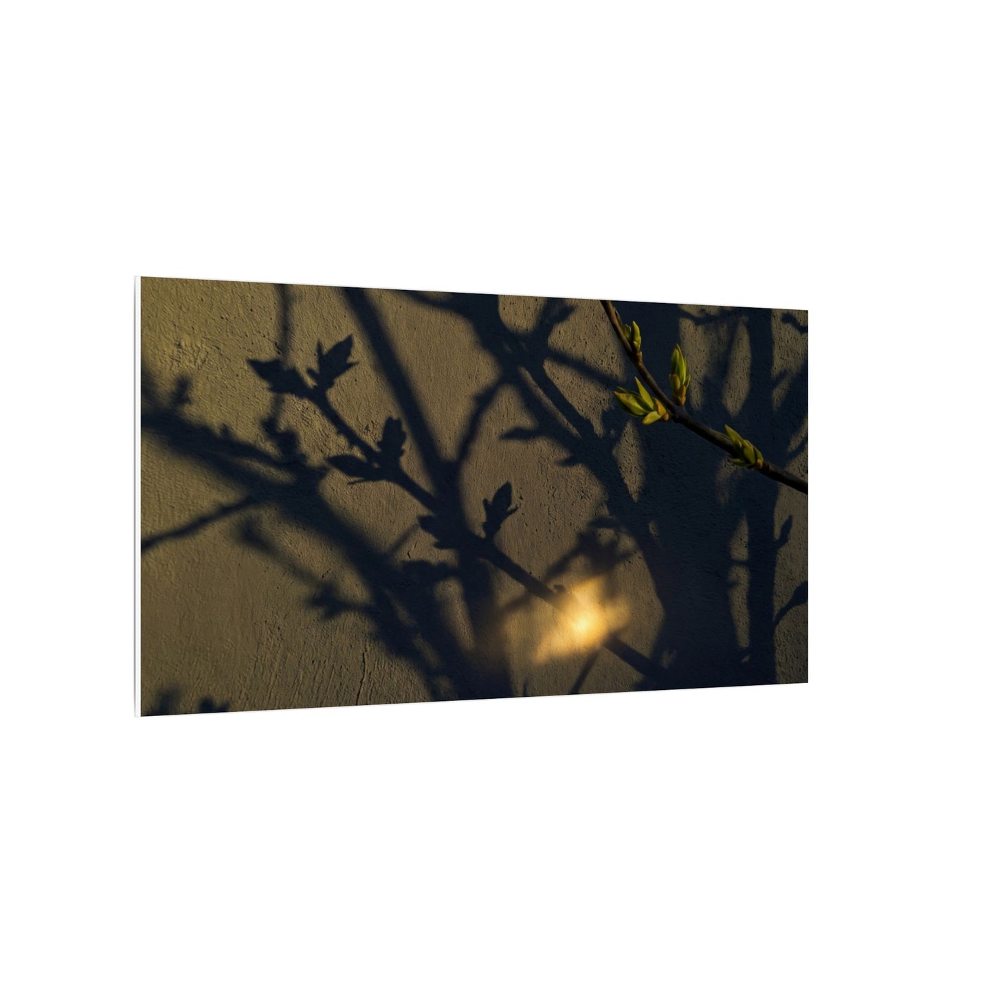 Bold Shadow Play Canvas Art - Moody Minimal Dark Japandi