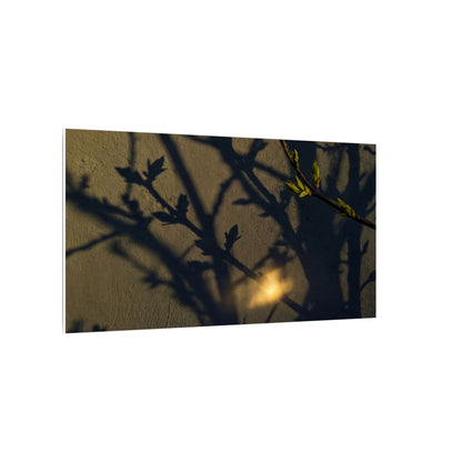 Bold Shadow Play Canvas Art - Moody Minimal Dark Japandi