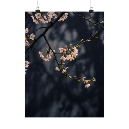Dappled Cherry Blossom Wall Art Print - Dark Japandi Ma