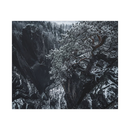 Dark Japandi Pine Tree in Dappled | Dark Texture Canvas Art