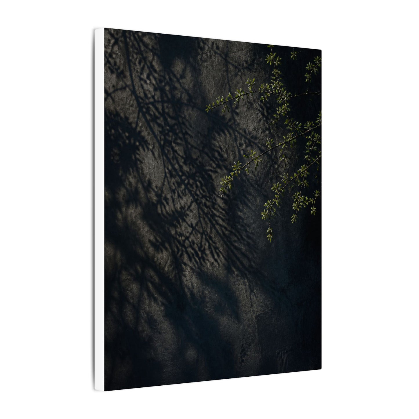 Overcast Shadow Play Canvas Art - Dark Japandi Seijaku