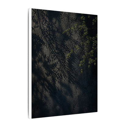 Overcast Shadow Play Canvas Art - Dark Japandi Seijaku