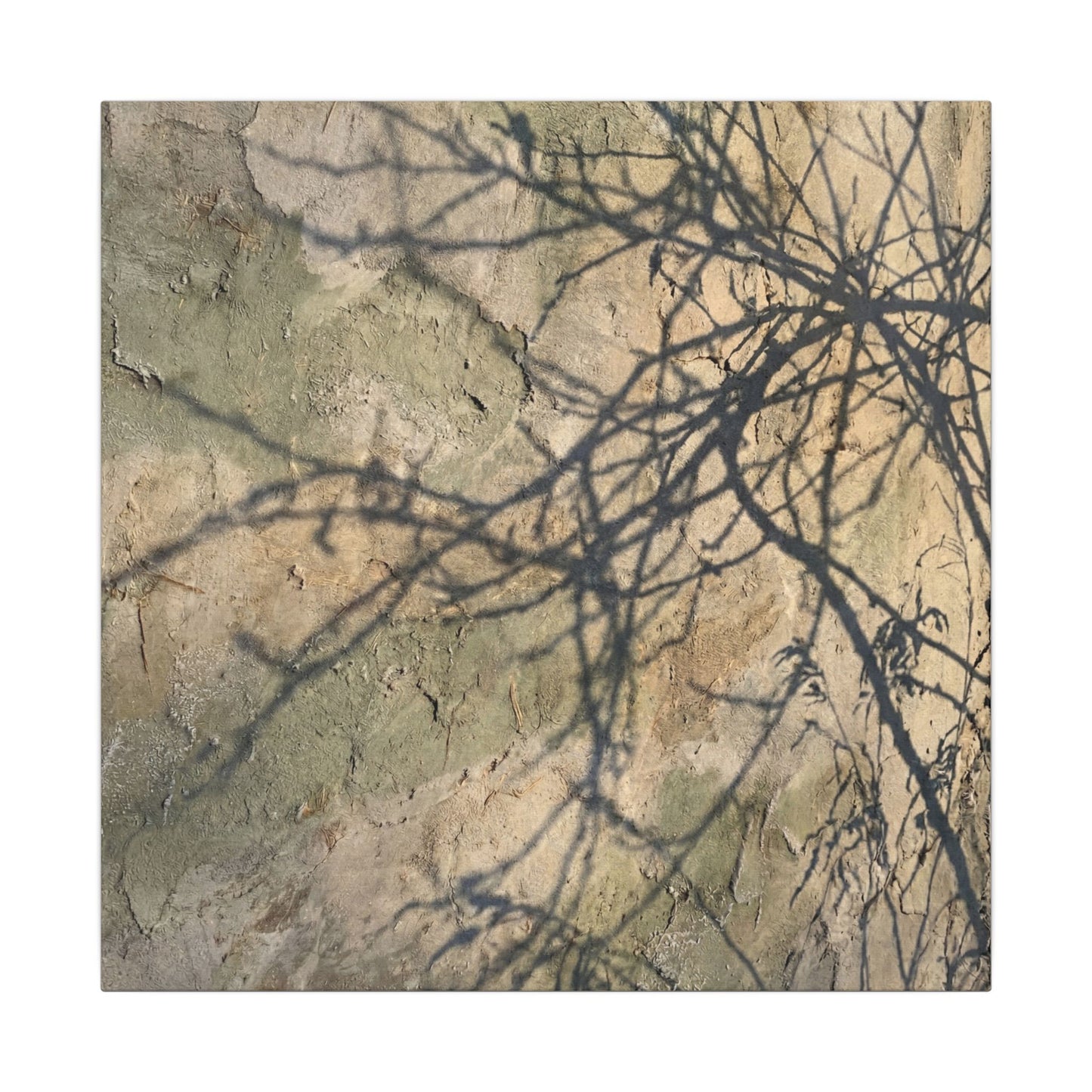 Japandi Shadow Play in Golden Hour | Texture Canvas Art