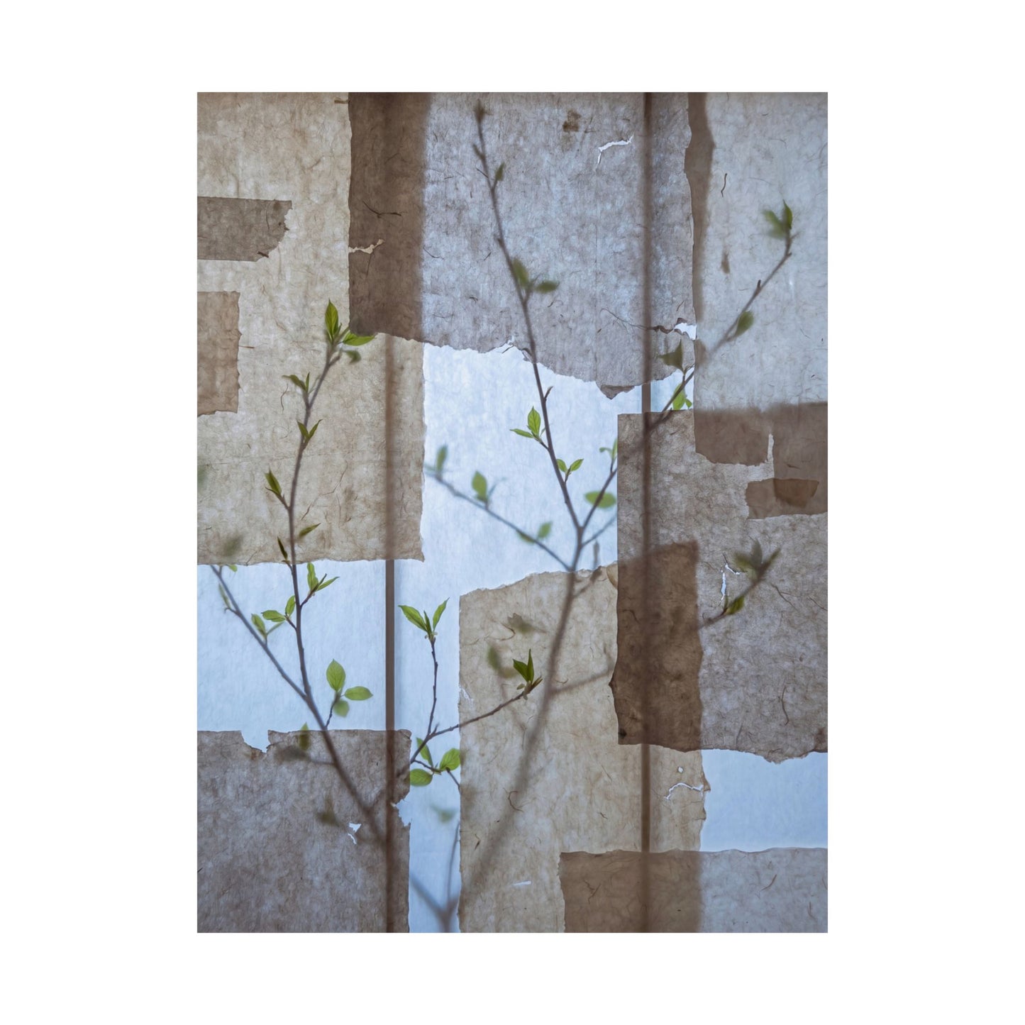 Shoji Screen Spring Wall Art Print | Japandi Earthy Design