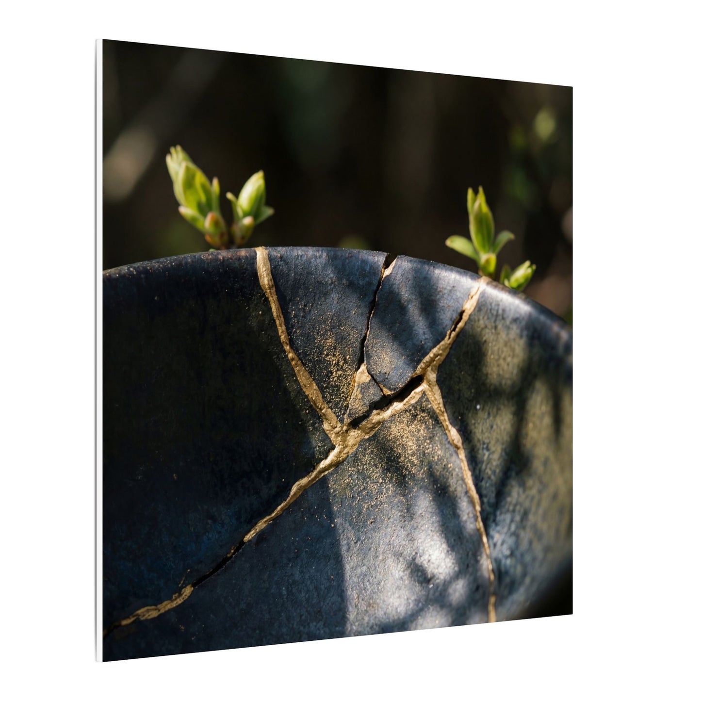 Seijaku Broken Pottery Canvas Art - Dark Japandi Shadow Zen
