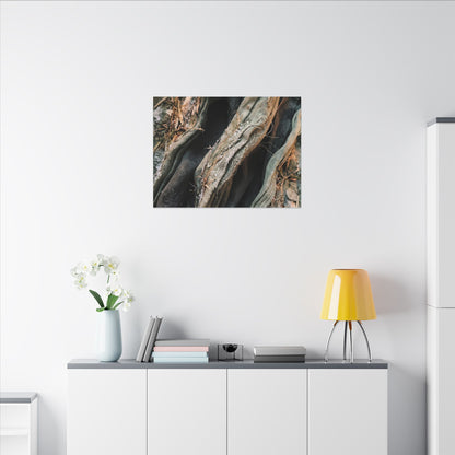 Silk Drape Winter Canvas Art | Japandi Cozy Design