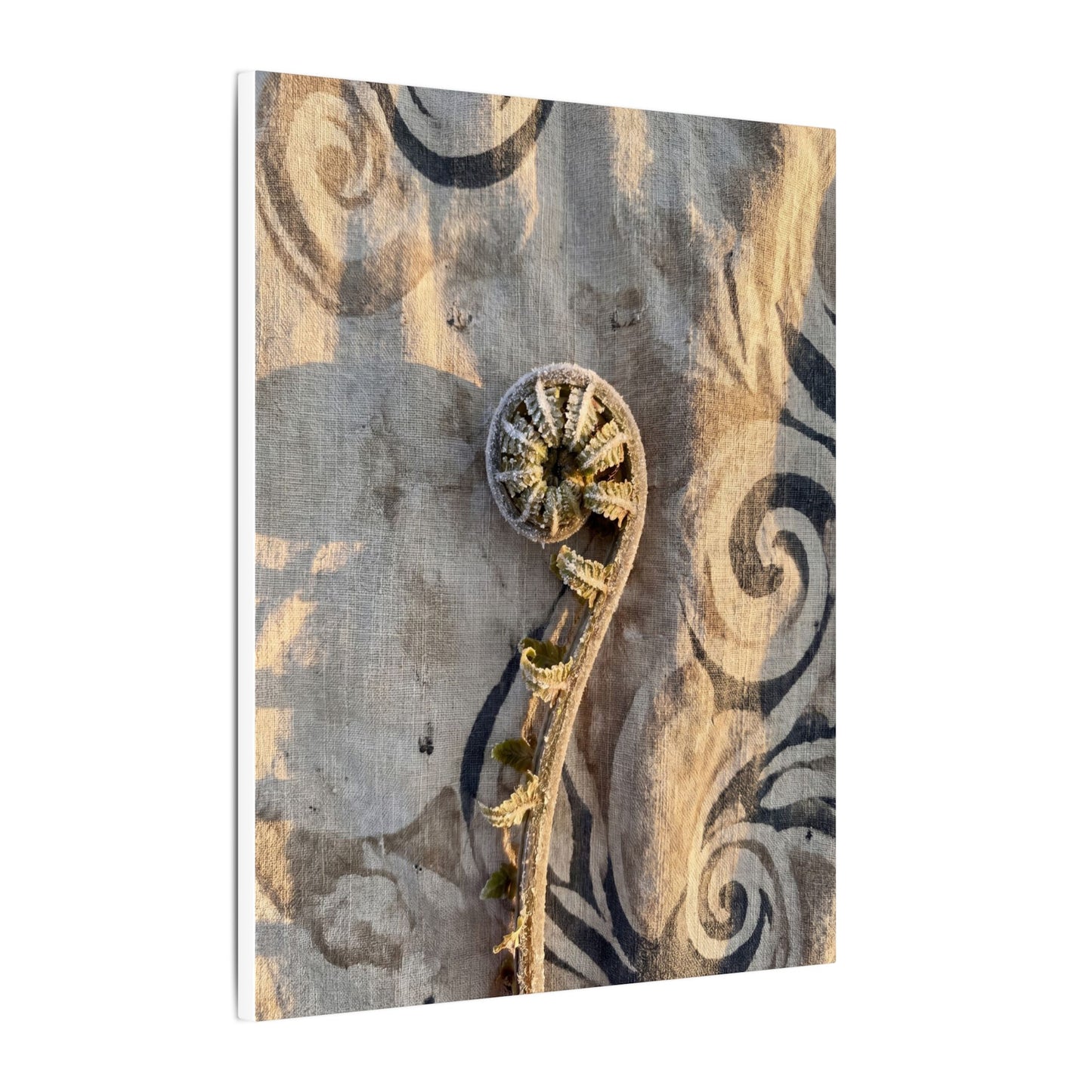 Fern Unfurling Canvas Art | Winter Japandi Japanese Pattern Art