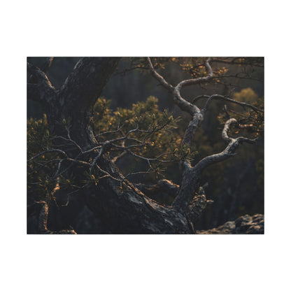Moody Pine Tree Canvas Art - Moody Minimal Dark Japandi Art Print