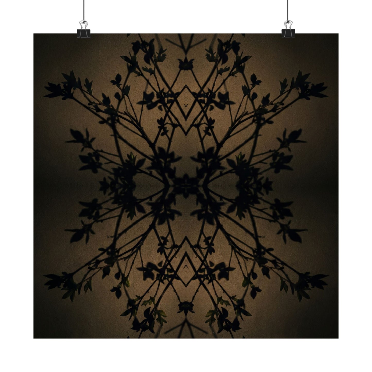 Shadow Play Wall Art Print | Spring Dark Japandi Shadow Zen Art