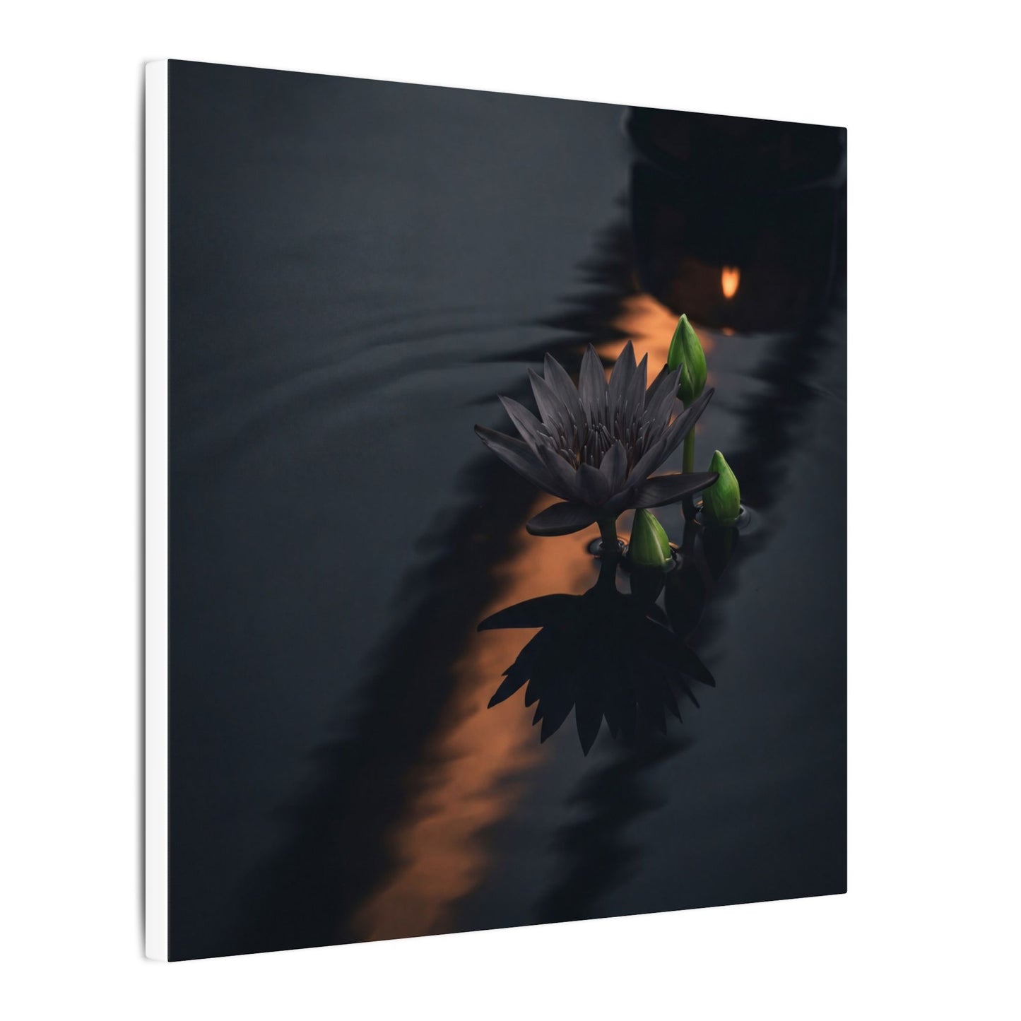 Seijaku Lotus Flower Canvas Art - Dark Japandi Shadow Zen