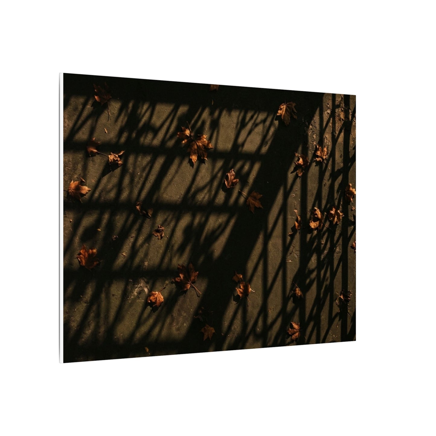 Dark Japandi Shadow Play in Golden Hour | Moody Minimal Canvas Art