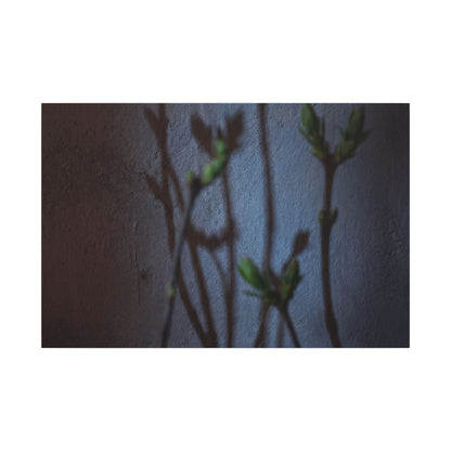 Shadow Play Spring Canvas Art | Dark Japandi Sophisticated Design