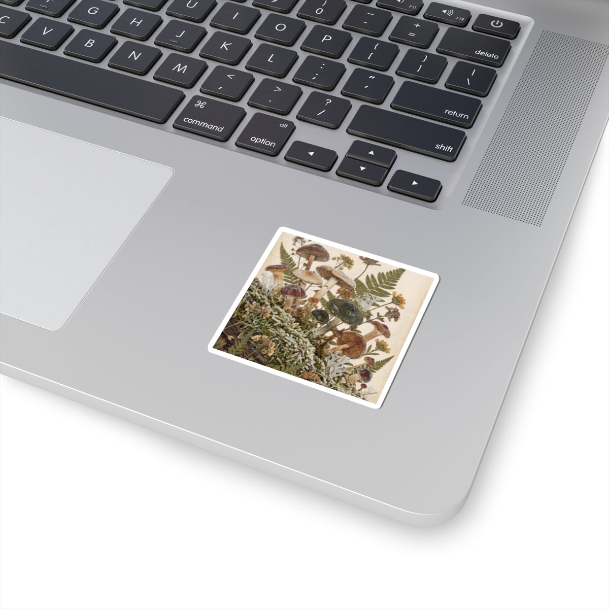 Winter Wild Mushrooms Herbarium Sticker | Rustic Decor