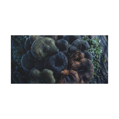 Wild Mushrooms Moody Minimal Canvas Art | Moody Dark Japandi Art