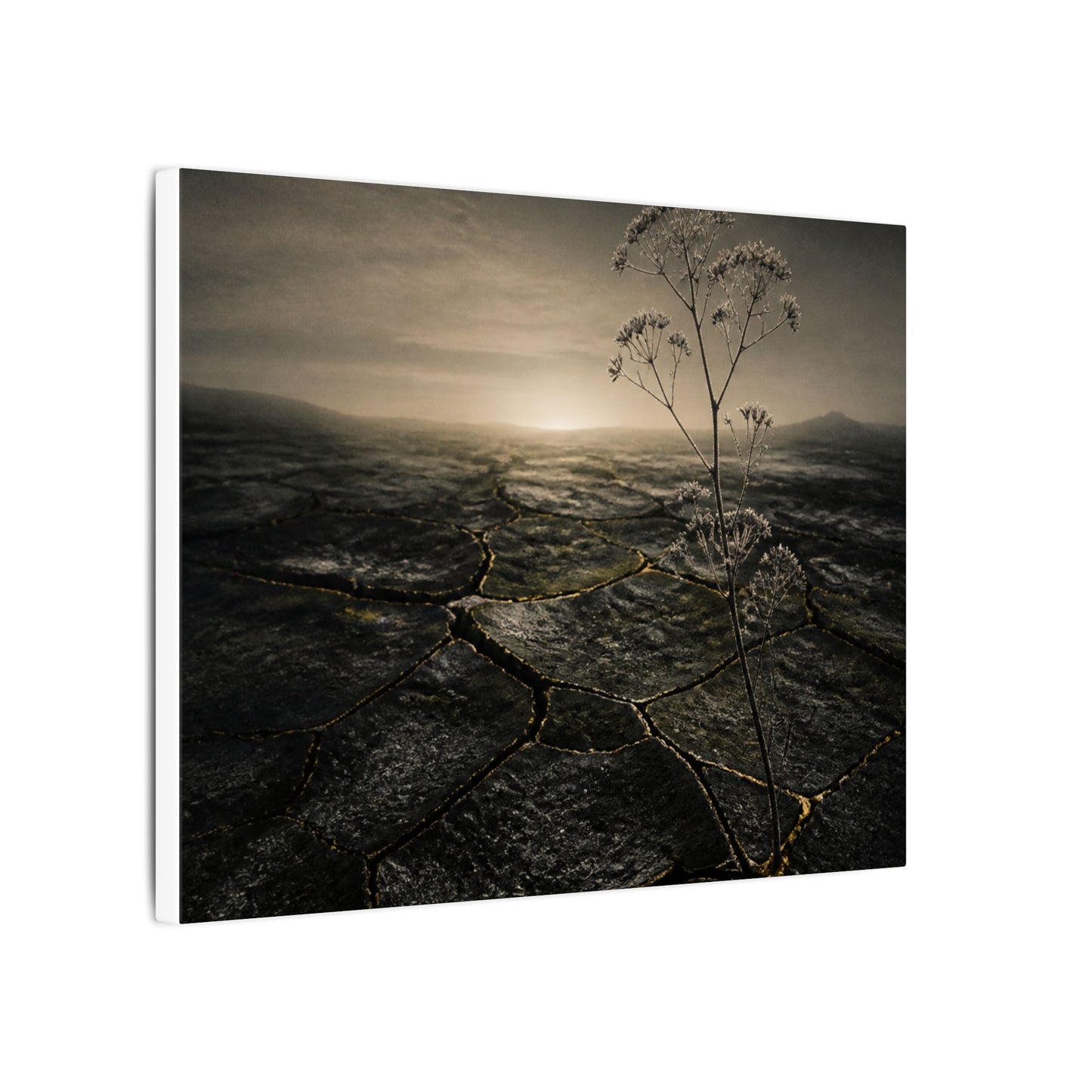 Dawn Cracked Earth Canvas Art - Dark Japandi Mono No Aware