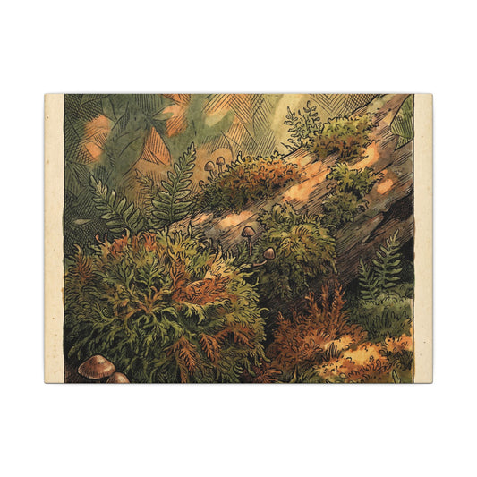 Dappled Moss Close Up Canvas Art - Cottagecore Fukinsei Art Print
