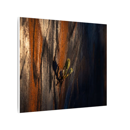 Rust Patina Charcoal Ink Canvas Art | Moody Dark Japandi Art