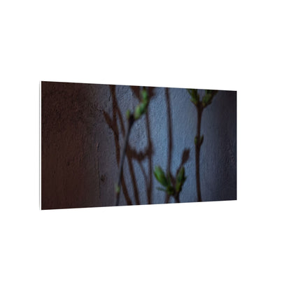 Shadow Play Spring Canvas Art | Dark Japandi Sophisticated Design