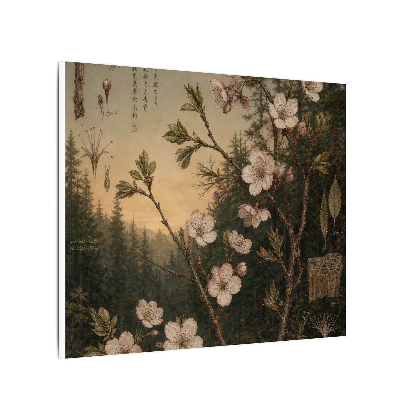 Spring Cherry Blossom Herbarium Canvas Art | Nostalgic Decor