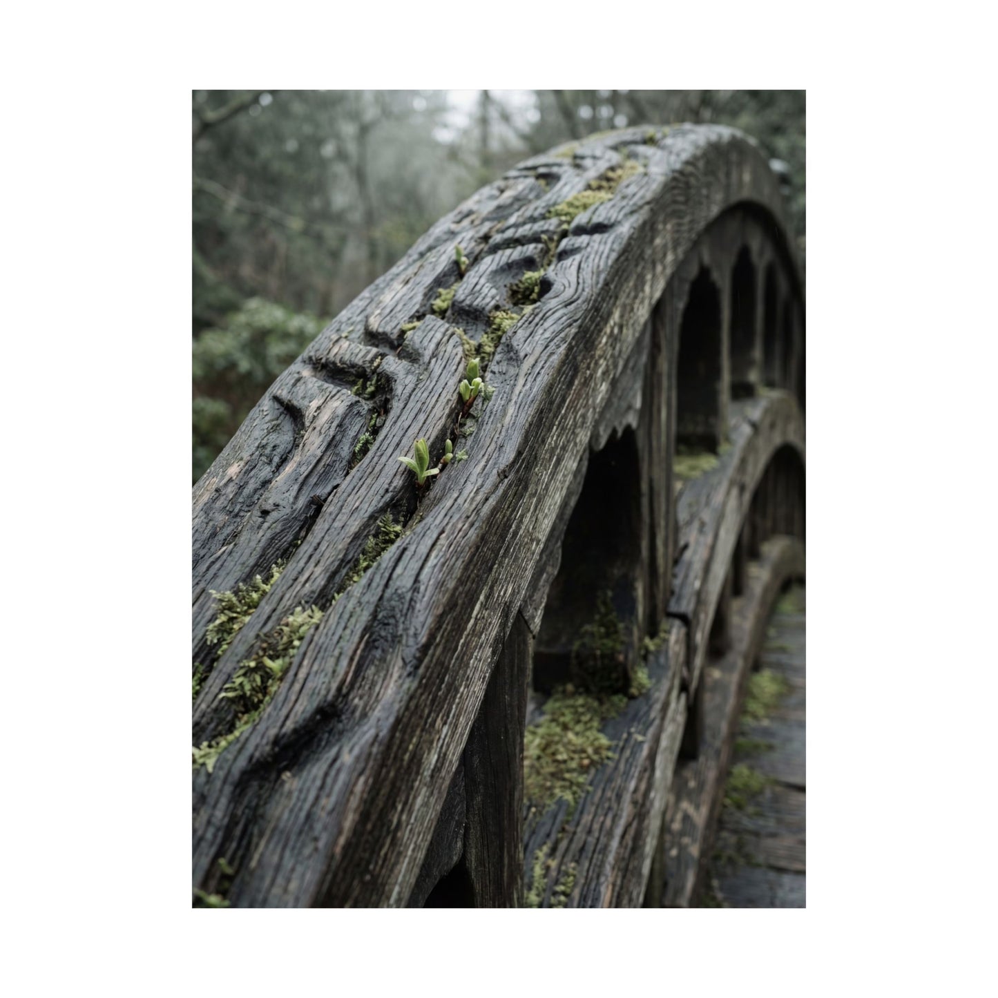 Kanso Wooden Bridge Wall Art Print - Japandi Japanese Pattern