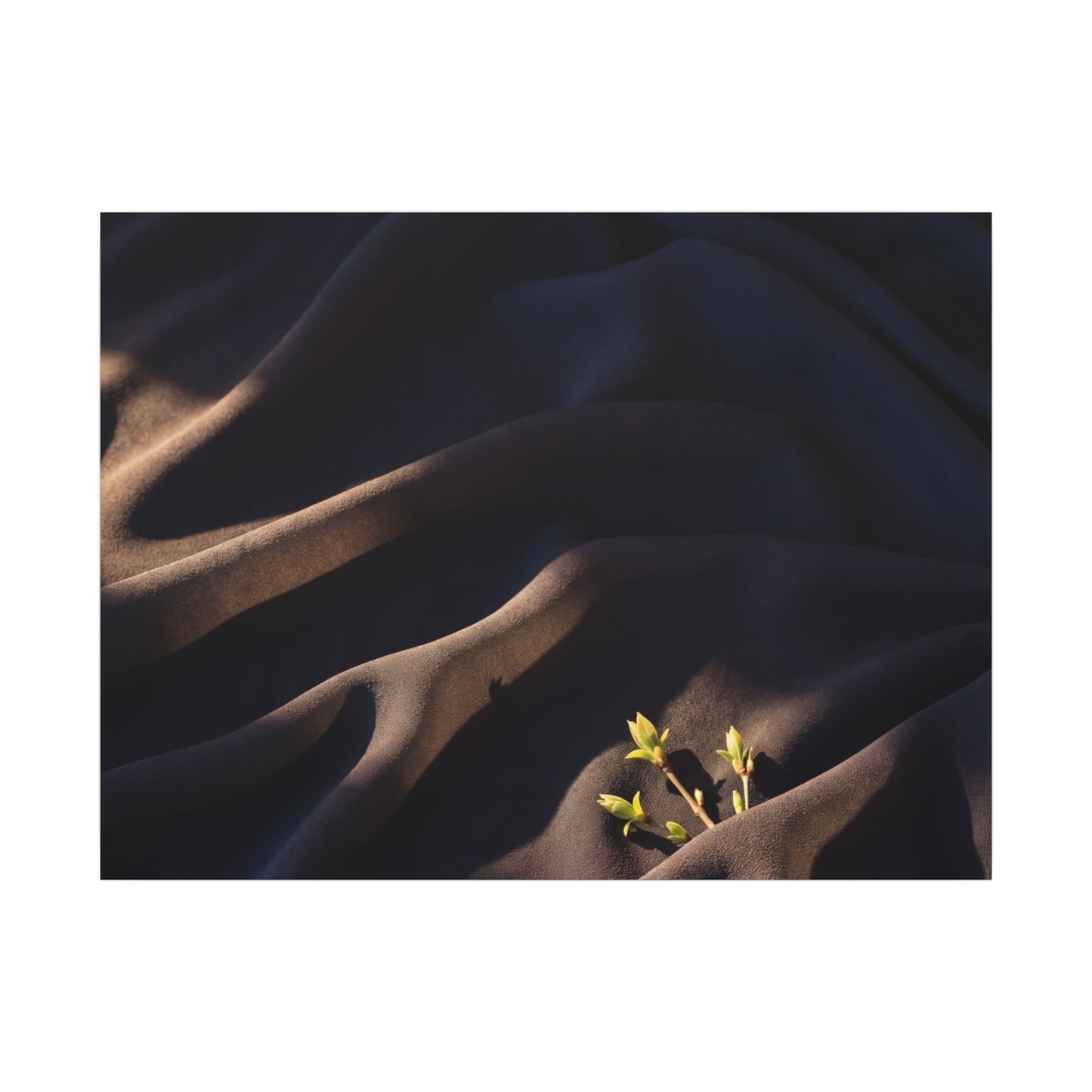 Silk Drape Shadow Zen Canvas Art | Luxurious Dark Japandi Art Art Print