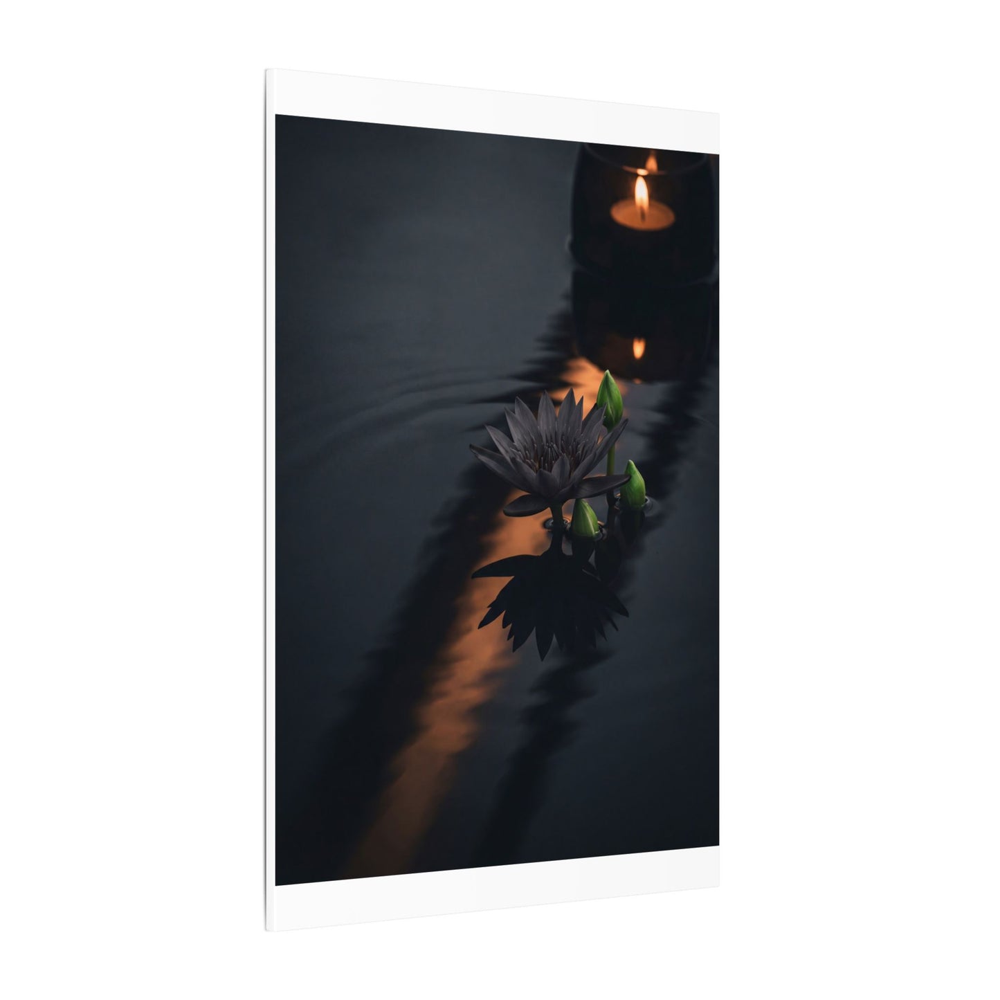 Seijaku Lotus Flower Canvas Art - Dark Japandi Shadow Zen
