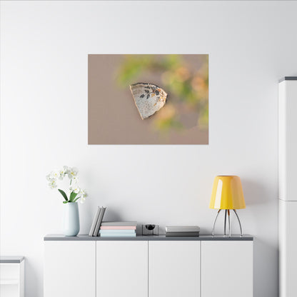 Ceramic Bowl Canvas Art | Spring Japandi Japanese Pattern Art
