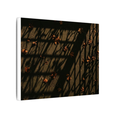 Dark Japandi Shadow Play in Golden Hour | Moody Minimal Canvas Art