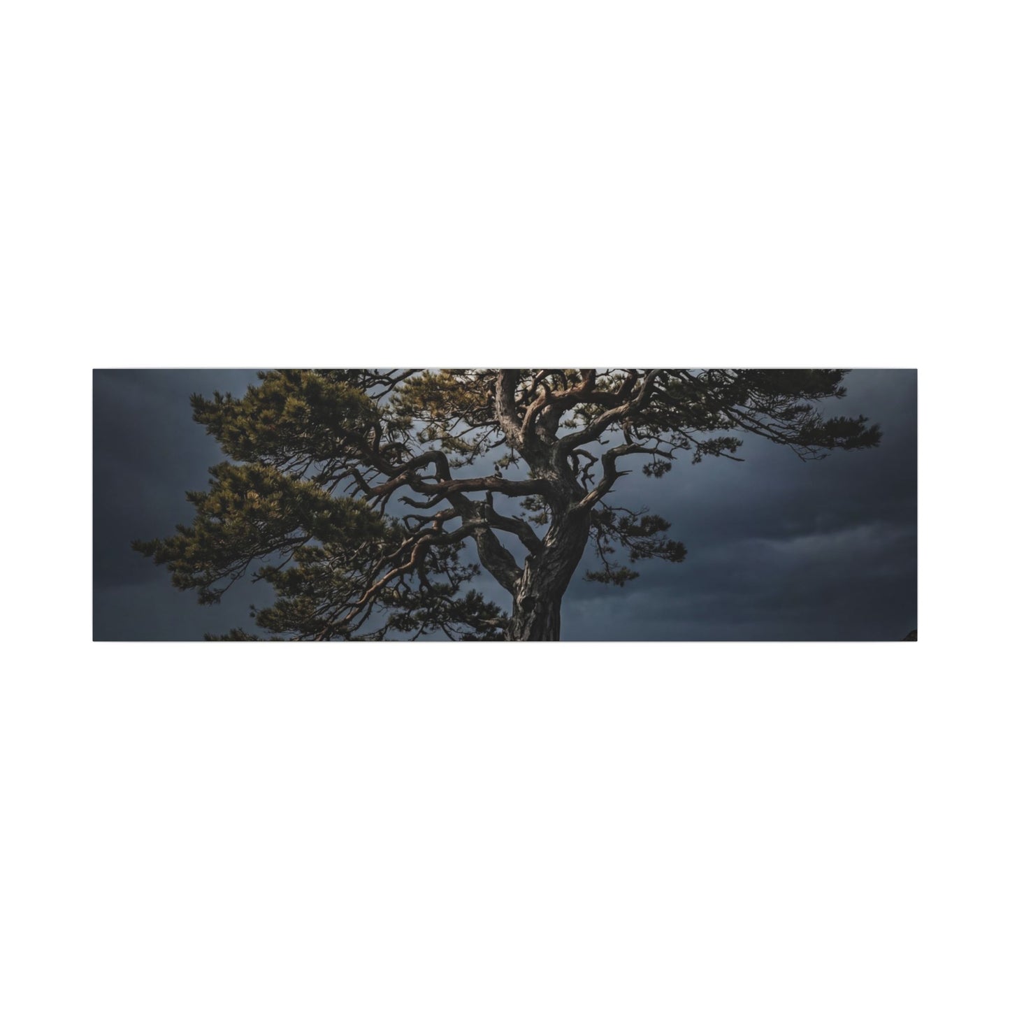 Dappled Pine Tree Canvas Art - Dark Japandi Fukinsei