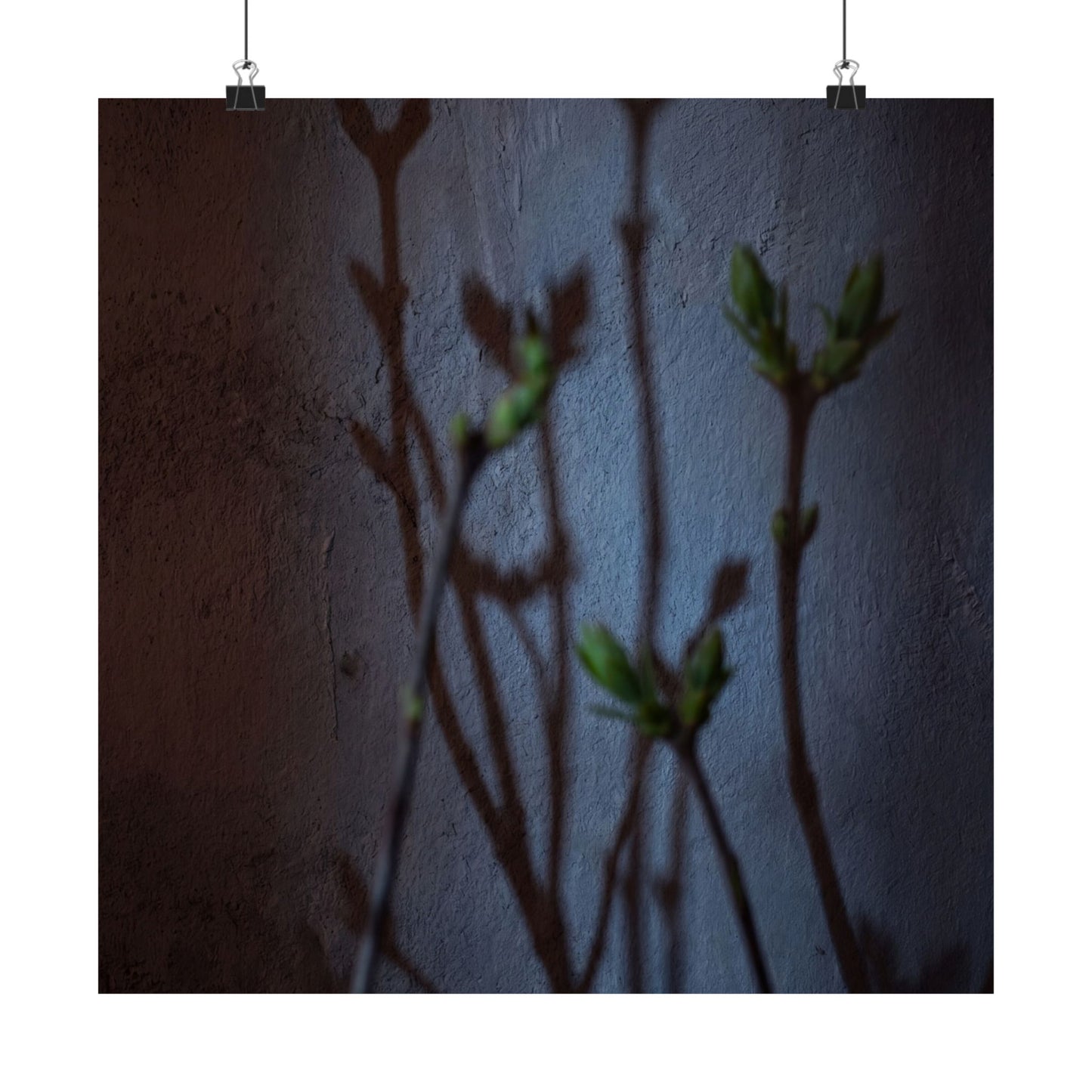 Spring Shadow Play Shadow Zen Wall Art Print | Moody Decor
