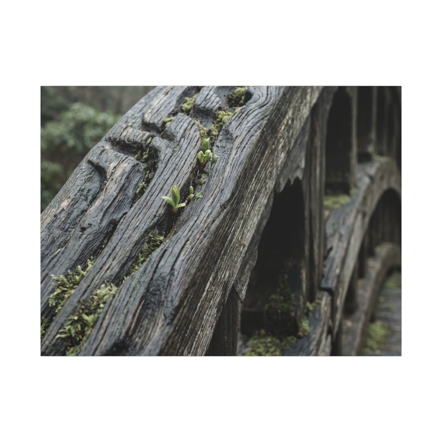 Overcast Wooden Bridge Canvas Art - Japandi Kanso Art Print