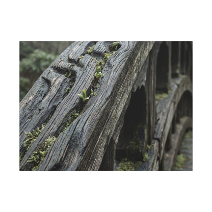 Overcast Wooden Bridge Canvas Art - Japandi Kanso Art Print